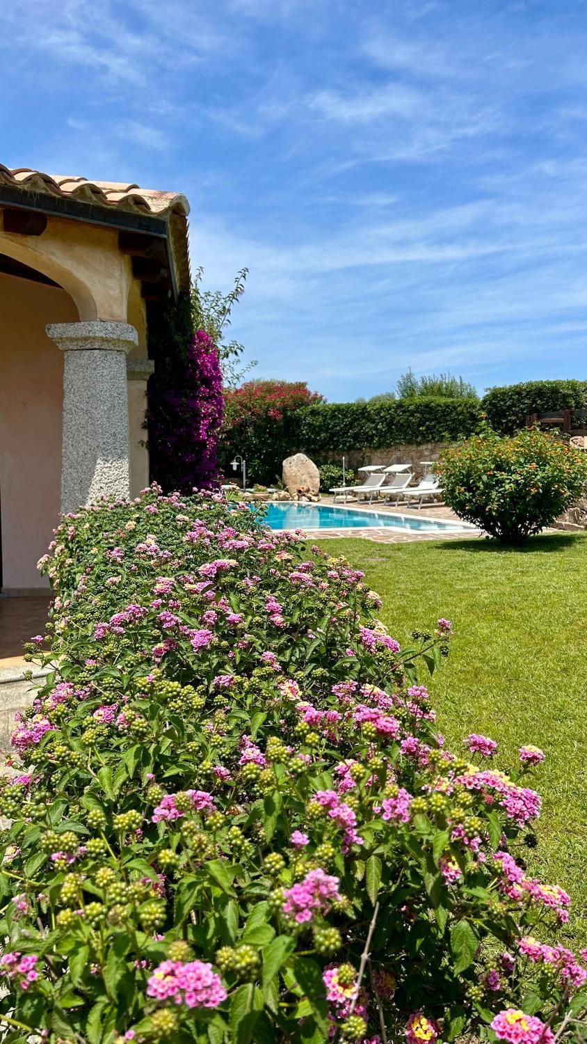 Spring, Day, Natural landscape, Garden, Garden view, Pool view, Swimming pool, sunbed