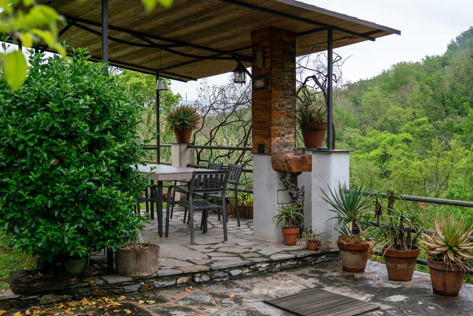 View (from property/room)