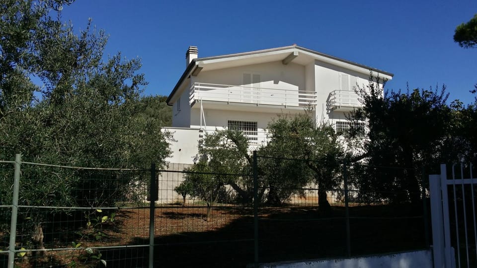 Facade/entrance, Garden