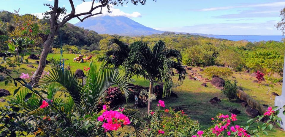 Natural landscape, Garden view, Mountain view