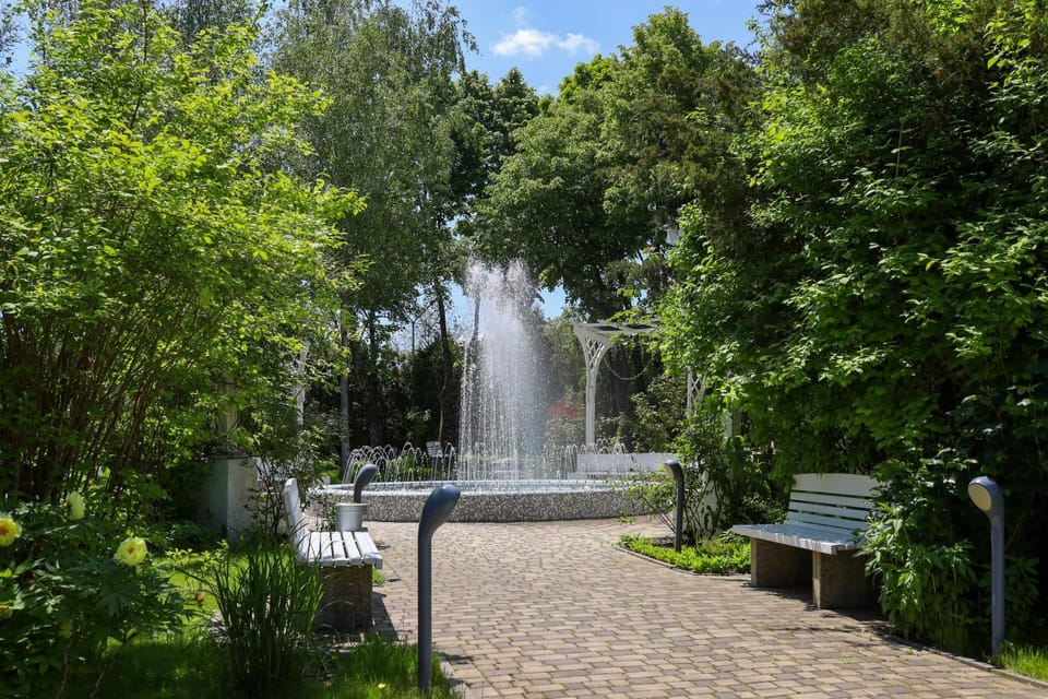 Natural landscape, Garden, On site