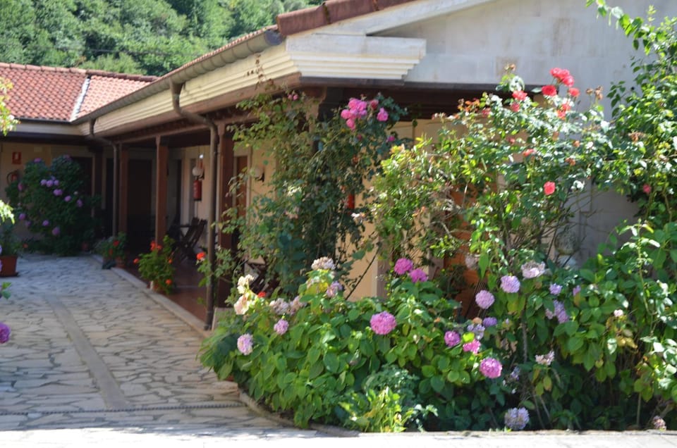 Hotel Arenas de Cabrales- apartamentos Hotel in Cantabria