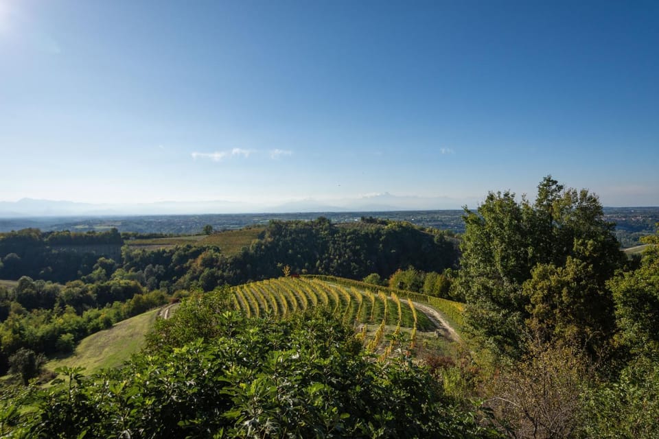 Splendido rustico nella Langa House in Liguria