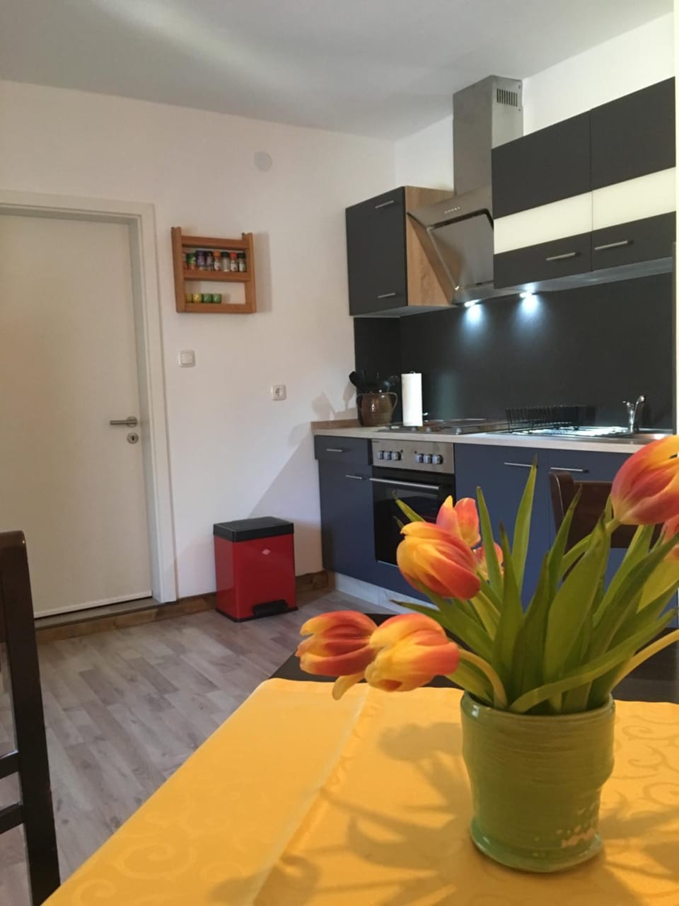 Kitchen or kitchenette, Photo of the whole room