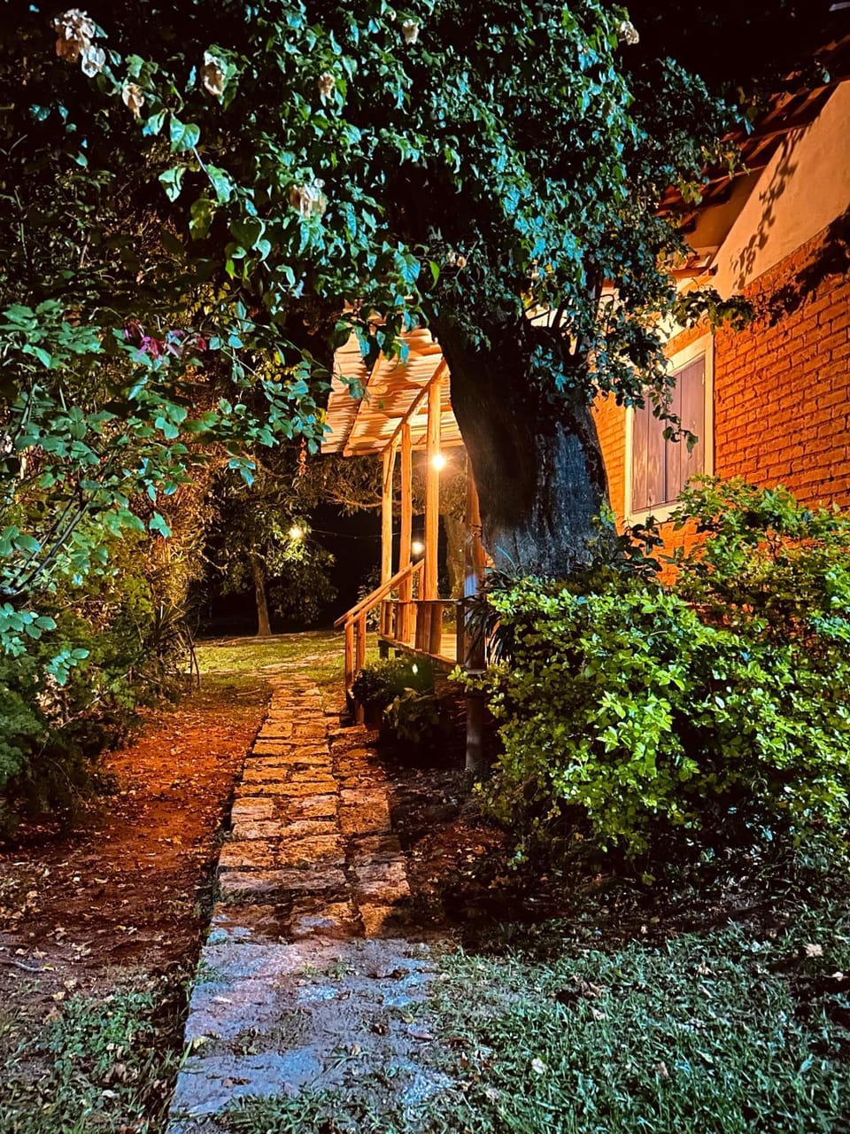 Garden, Garden view