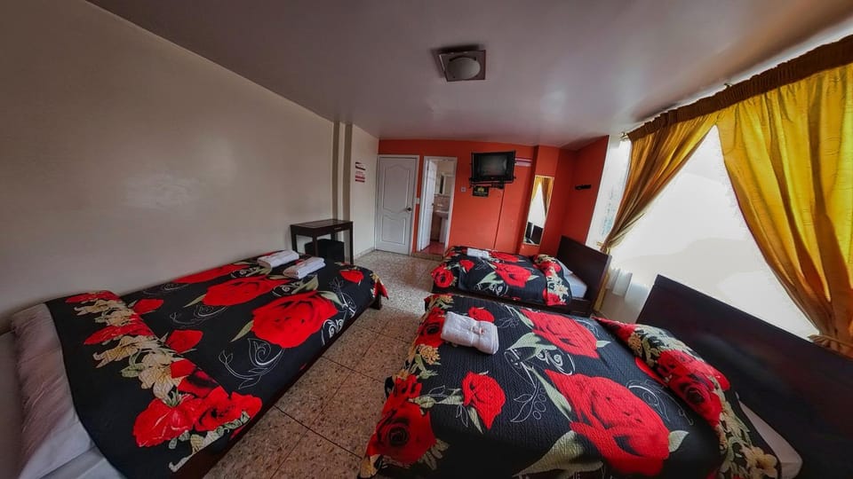 Toilet, Bed