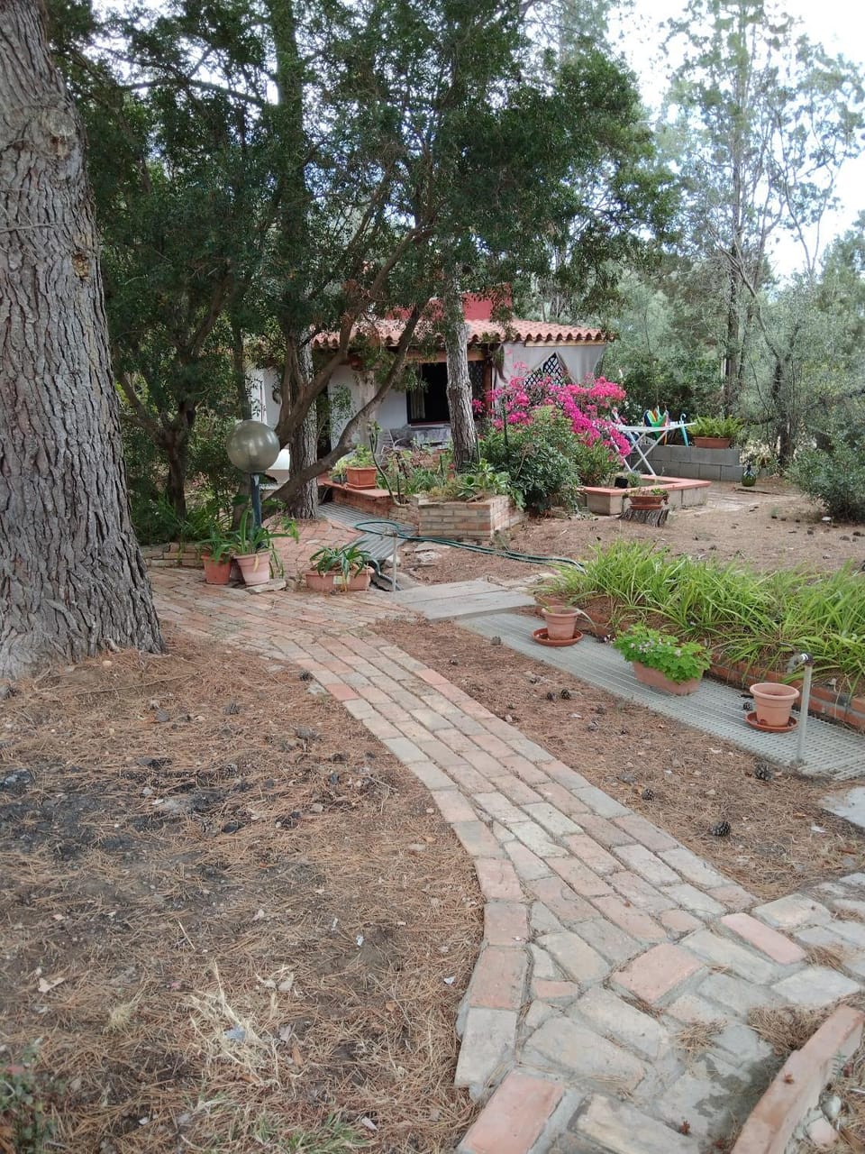 Tiny House House in Sardinia