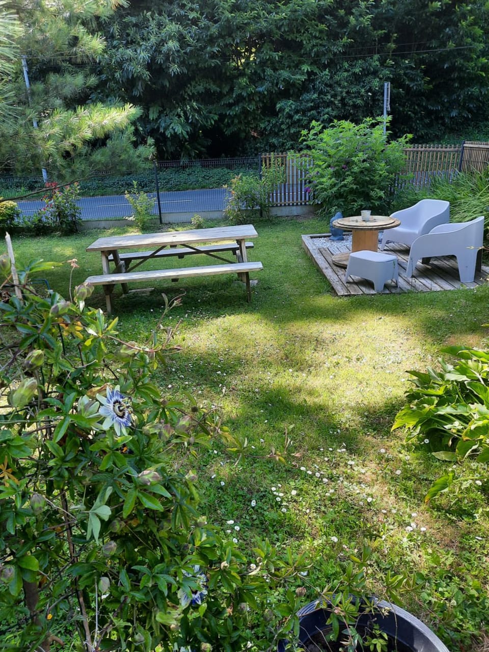 Garden, Living room, Garden view