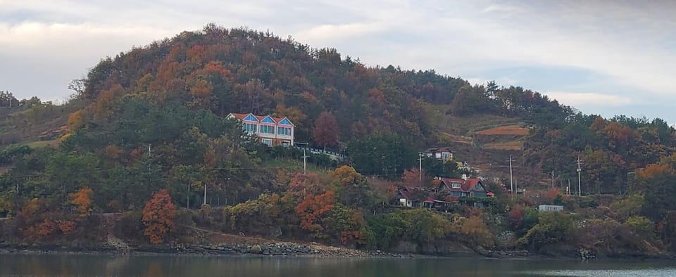 Property building, Neighbourhood, Natural landscape, Bird's eye view