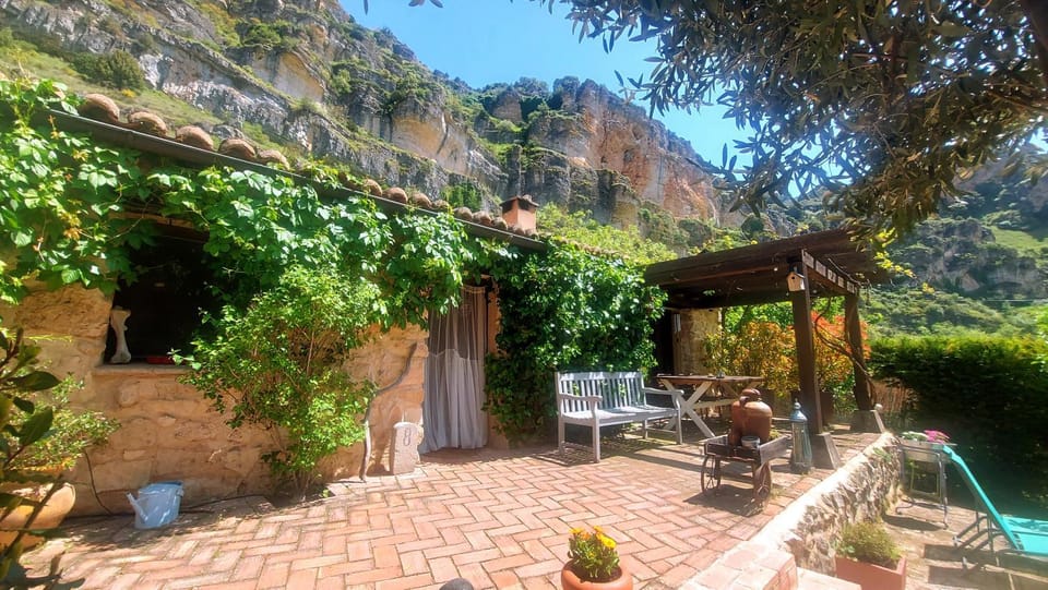 Natural landscape, Garden, Garden view