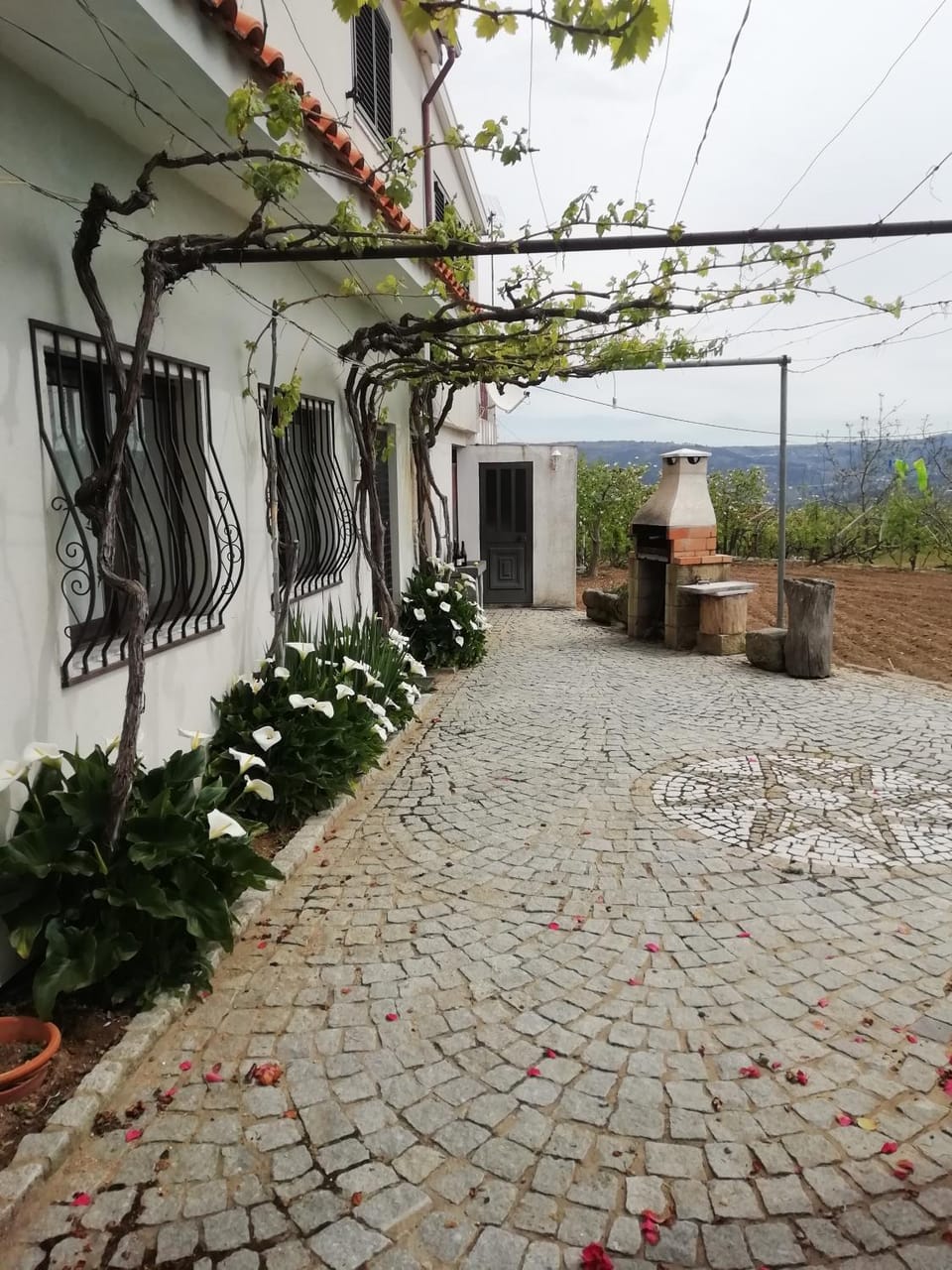 Casa do Batista Farm Stay in Portugal