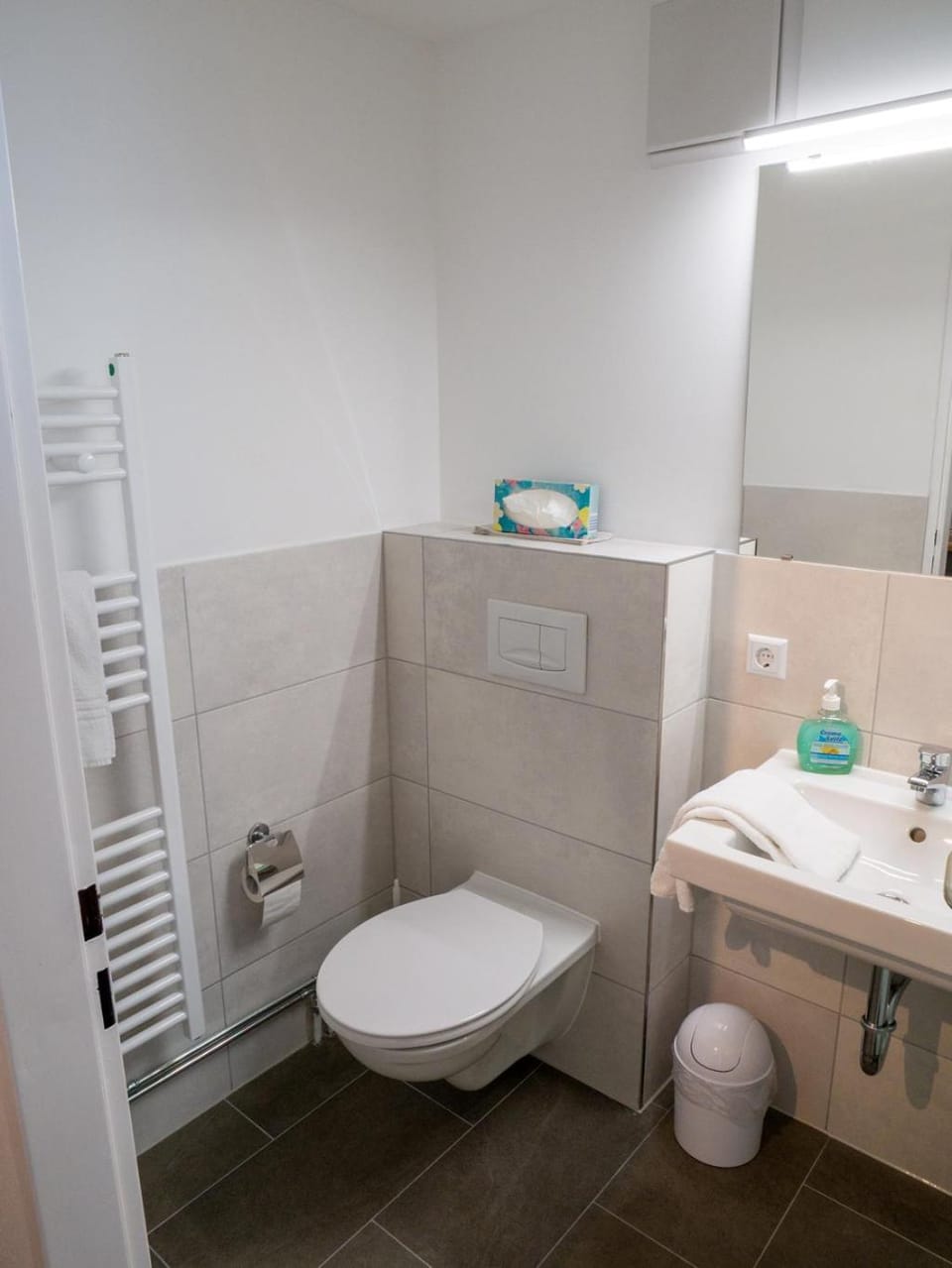 Toilet, Bathroom, towels