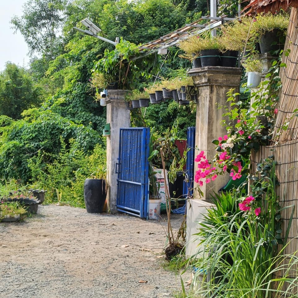 Facade/entrance, Day, Garden, Garden, Garden view