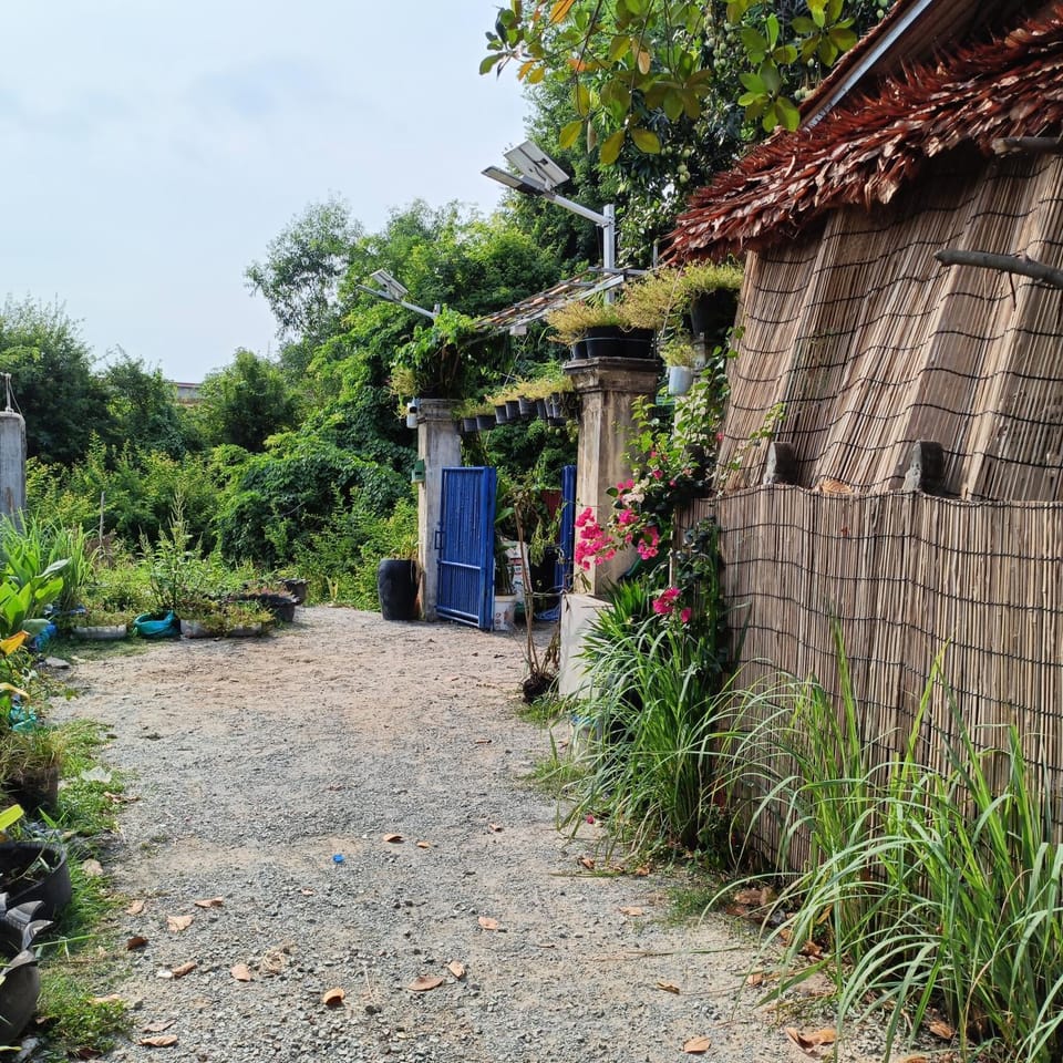 Property building, Facade/entrance, Day, Garden, Garden view