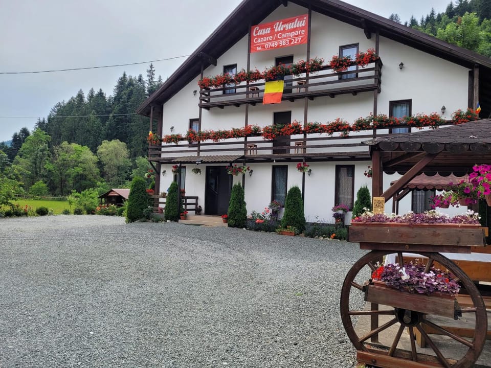 Casa Ursului Farm Stay in Romania