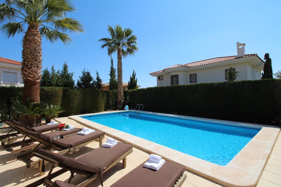 Property building, Patio, Day, Garden, Garden view, Pool view, Swimming pool, sunbed