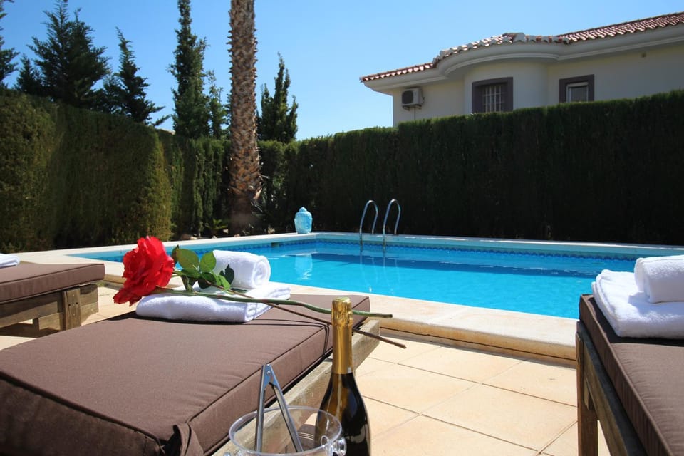 Patio, Day, Garden, Garden view, Pool view, Swimming pool, sunbed