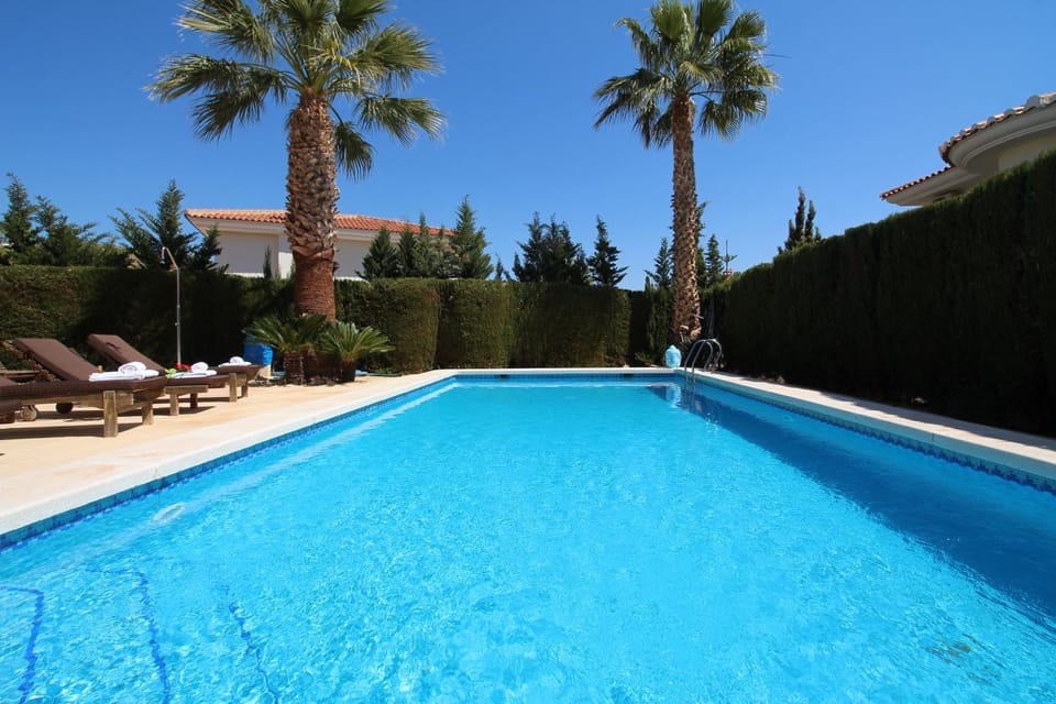 Day, Pool view, Swimming pool, sunbed