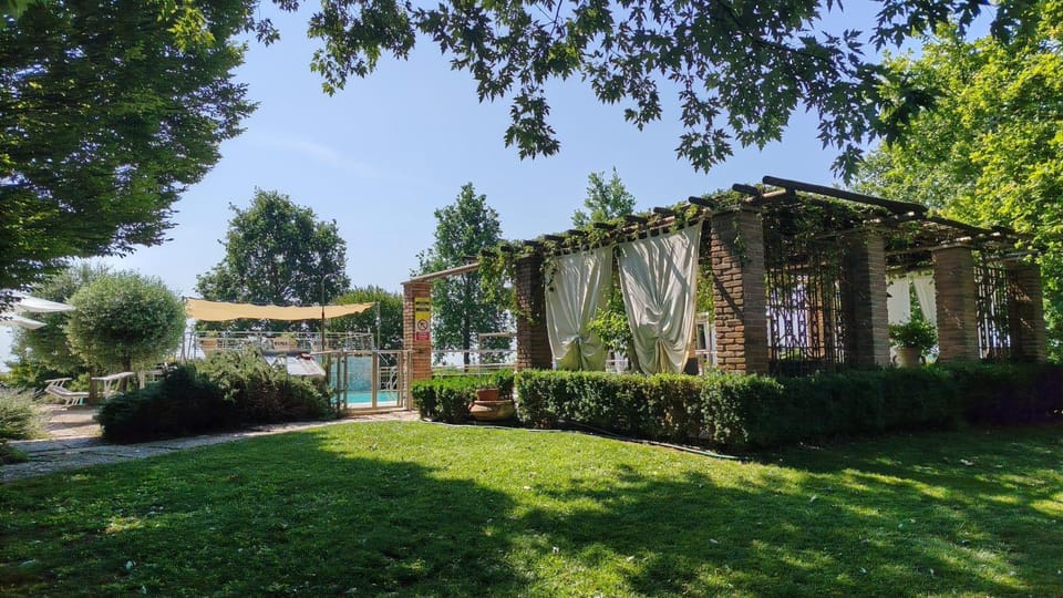 Spring, Garden, Garden view, Swimming pool
