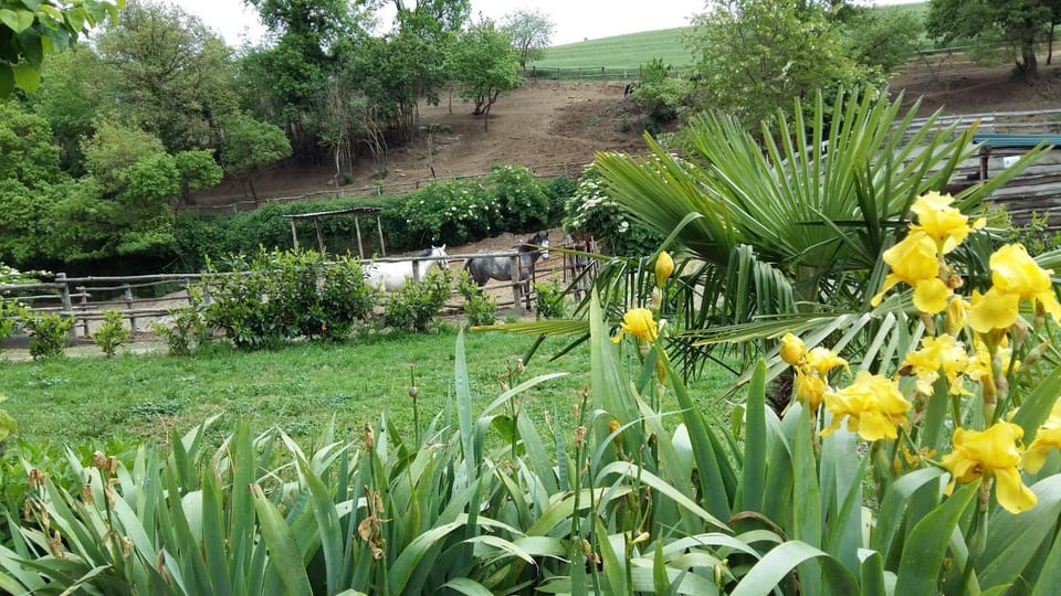 San Filippo Farm Stay in Lazio