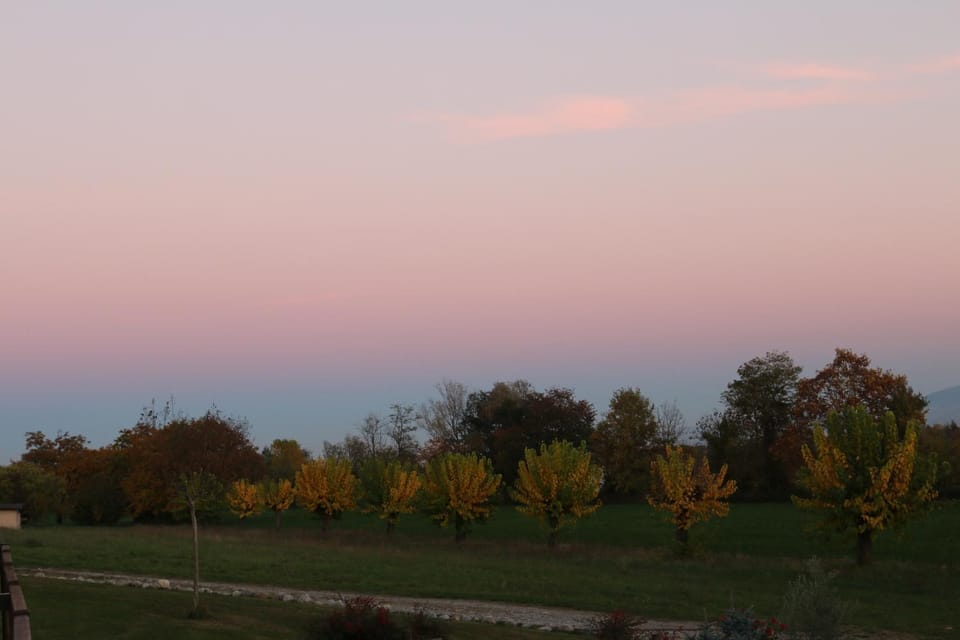 Autumn, On site