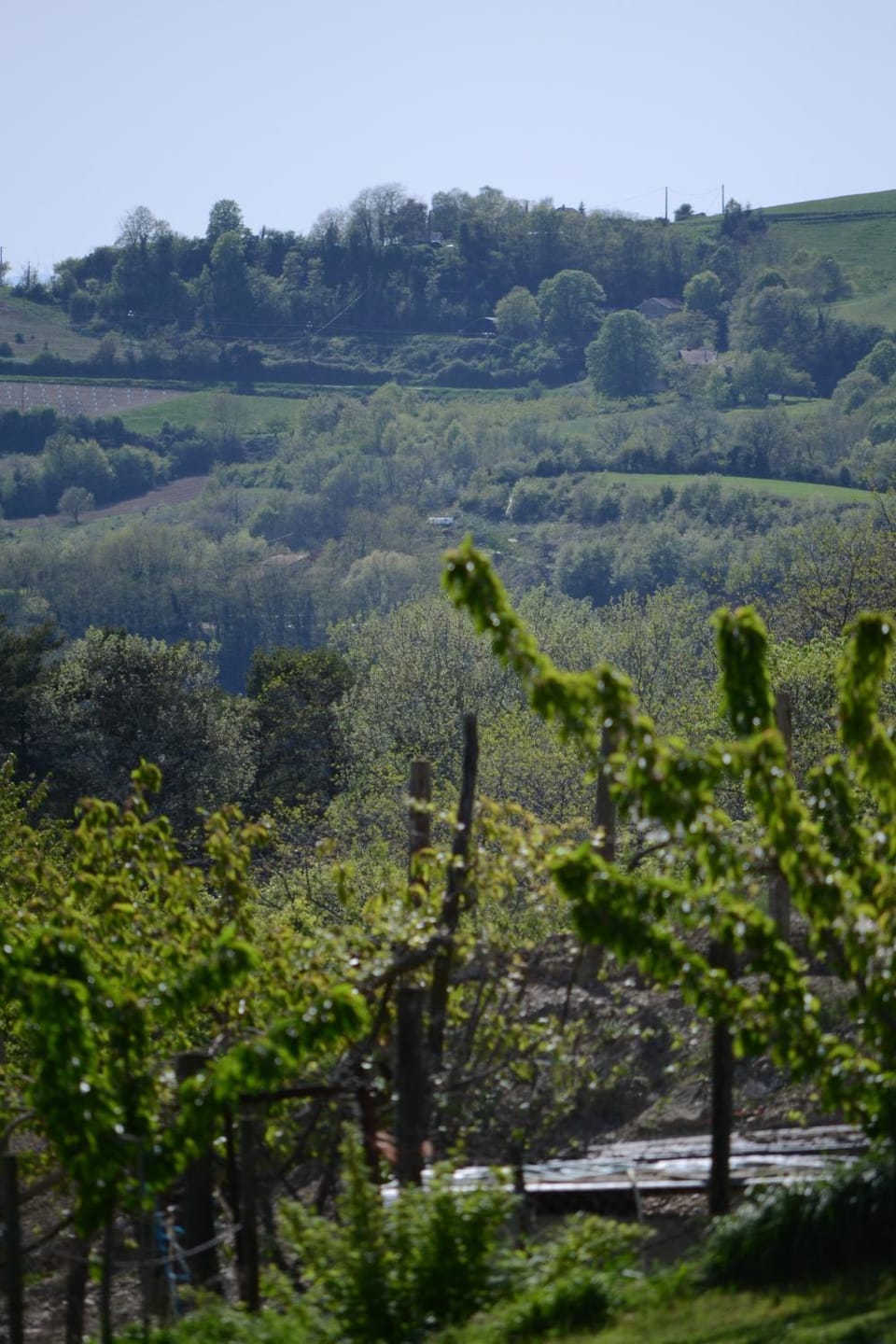 Spring