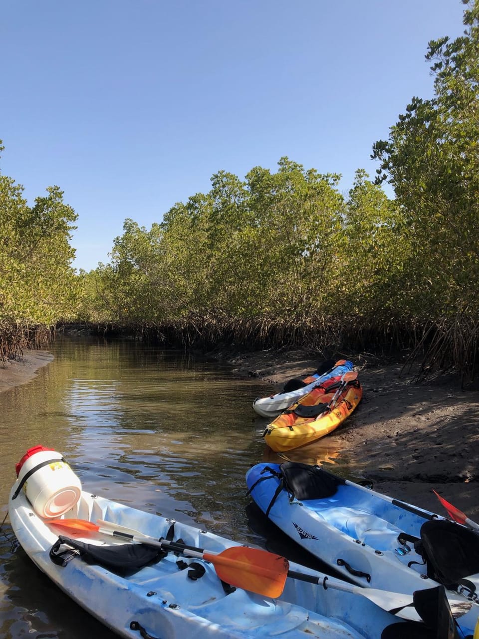 Activities, Canoeing