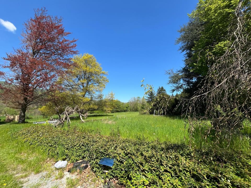 Spring, Day, Natural landscape, Garden, Garden view