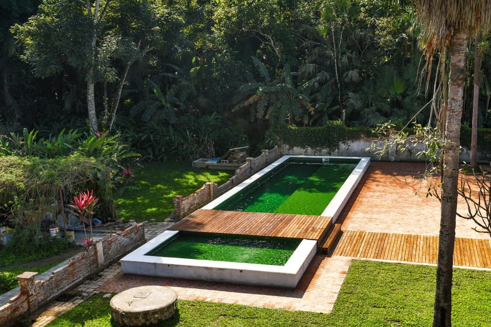 Garden, Pool view, Swimming pool
