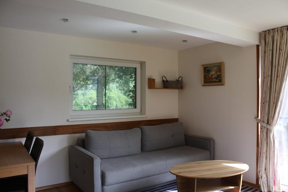 Holiday Villa Palanga House in Palanga