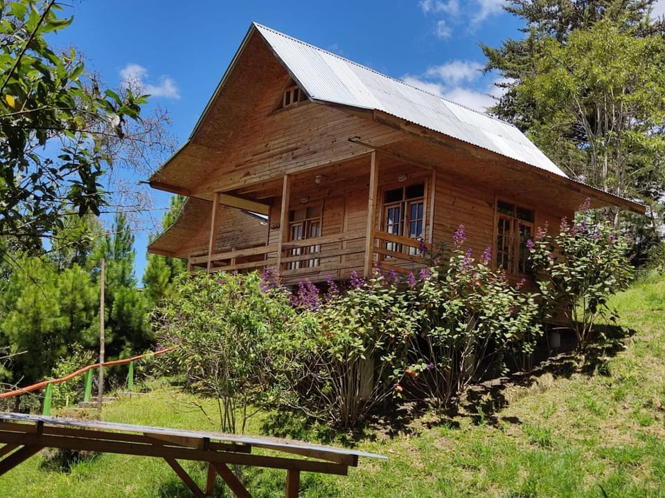 San Alberto Ecolodge Nature lodge in Oxapampa