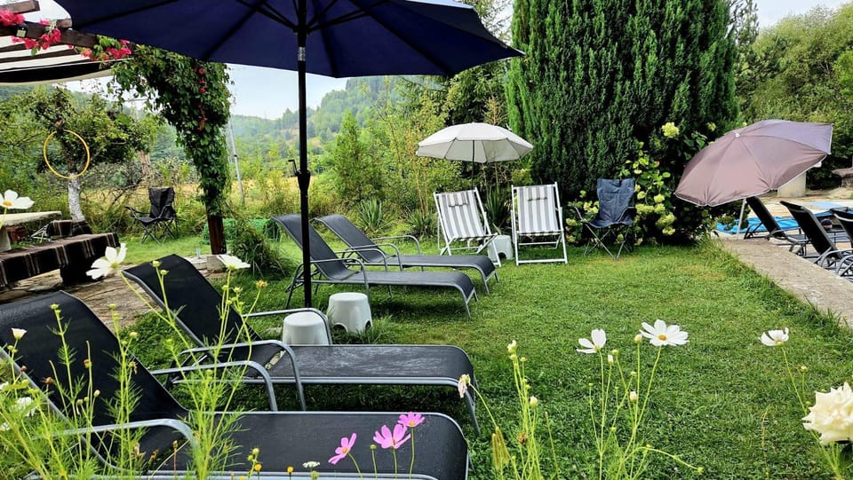Garden, Beach, sunbed