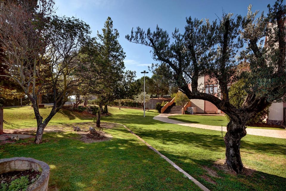 Day, Garden