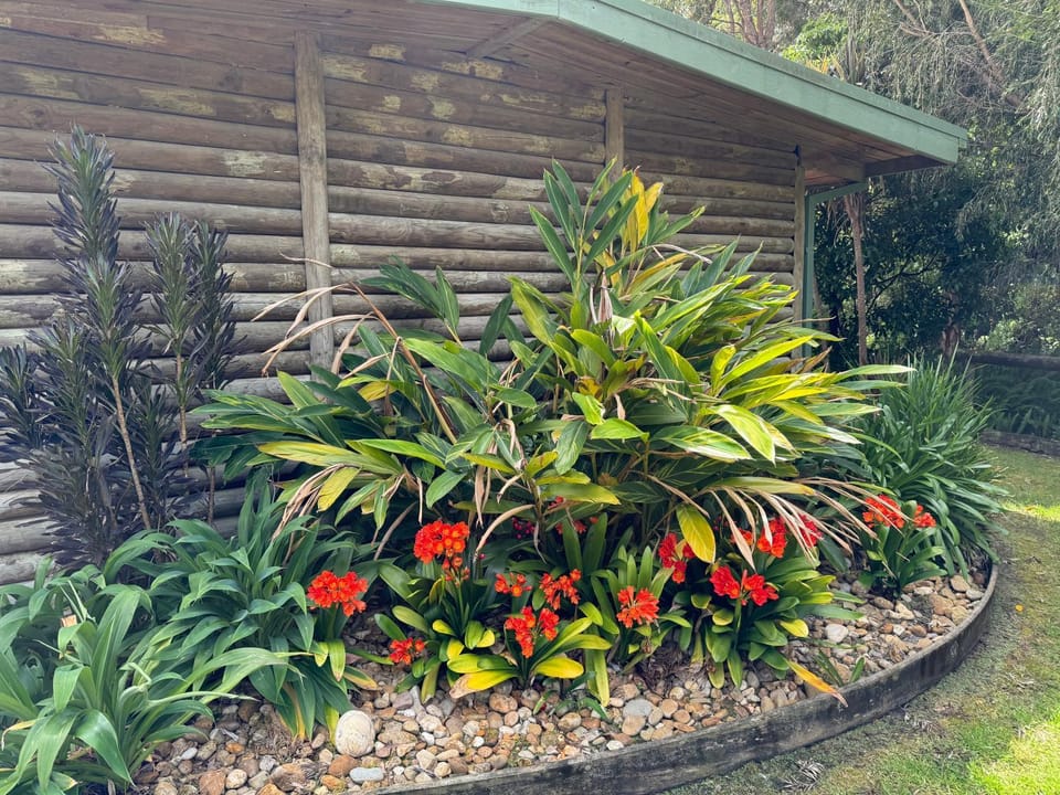 Mallacoota Log cabins Cabin in Mallacoota