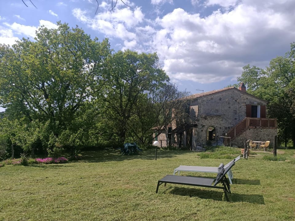 Property building, Garden view