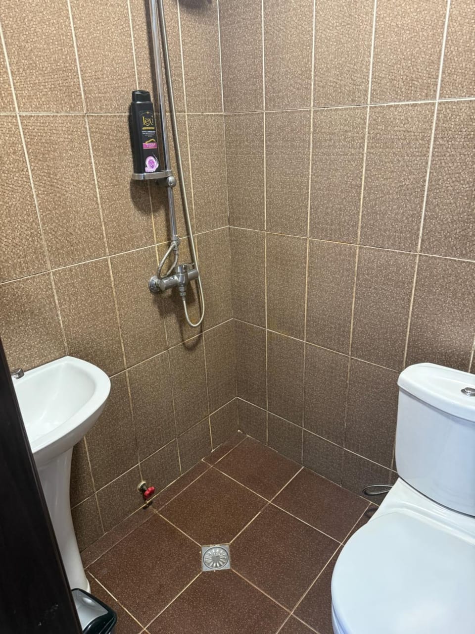 Shower, Toilet