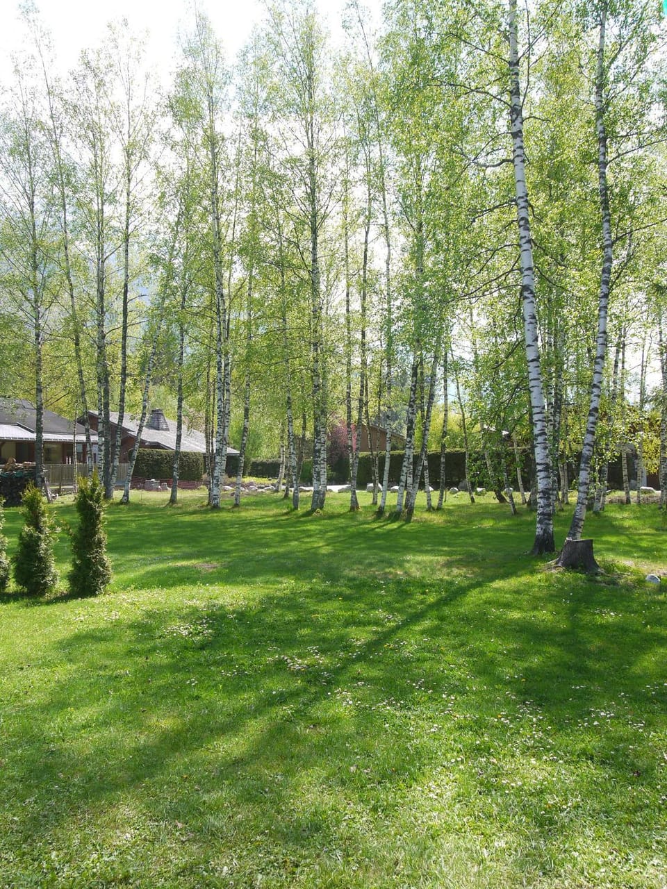 Spring, Day, Neighbourhood, Natural landscape, Garden, On site, Garden view, Mountain view