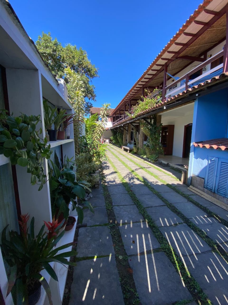 Garden, Inner courtyard view