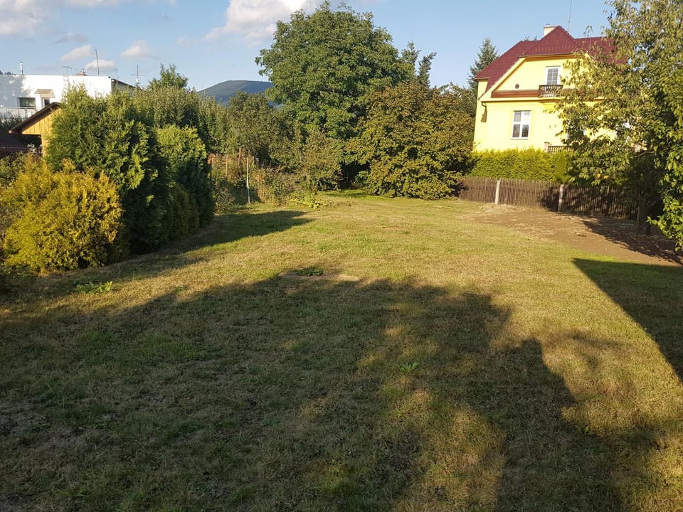 Garden, Garden view, Garden view