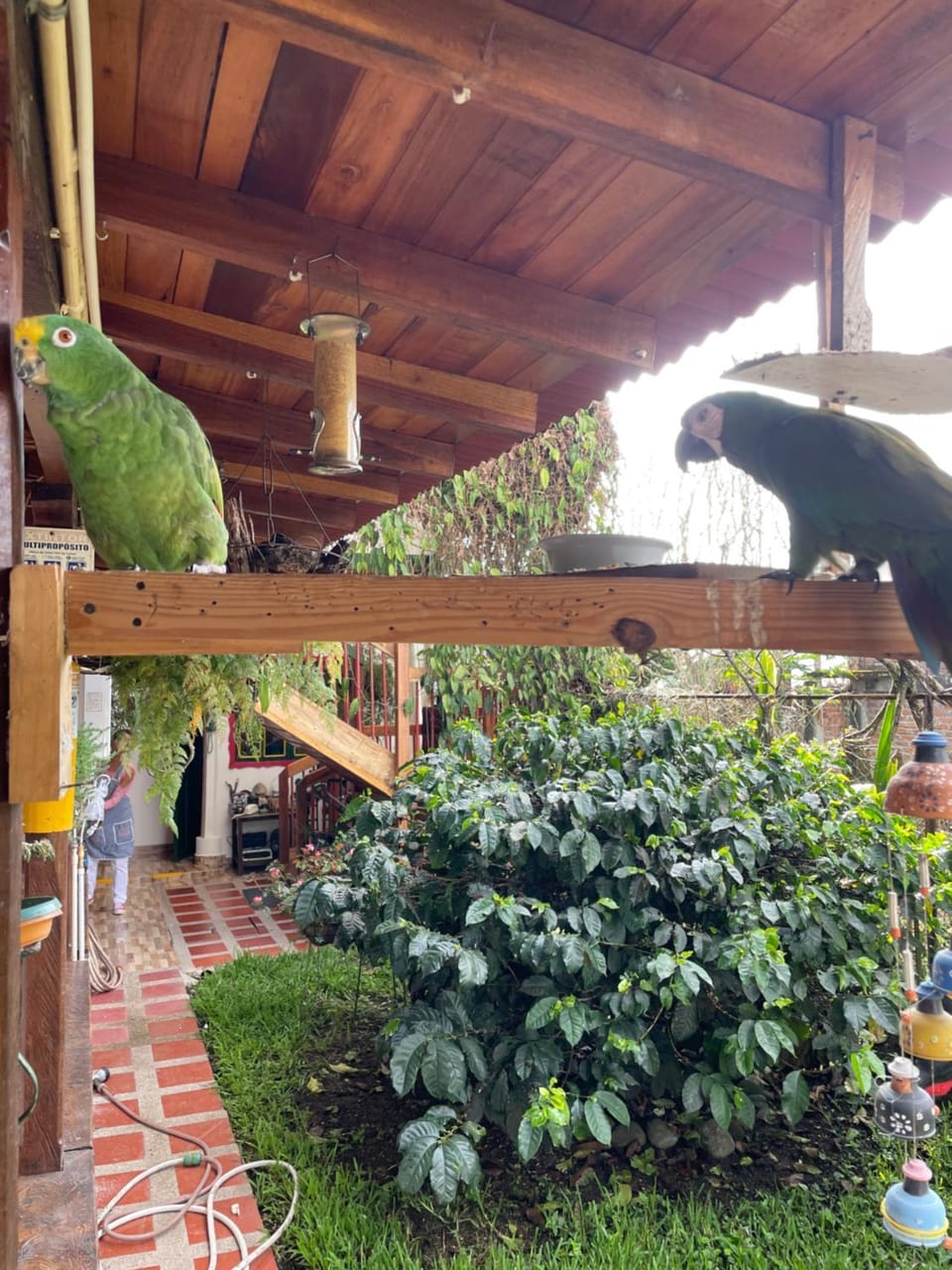Aroma Cafetera Inn in Quindio, Colombia