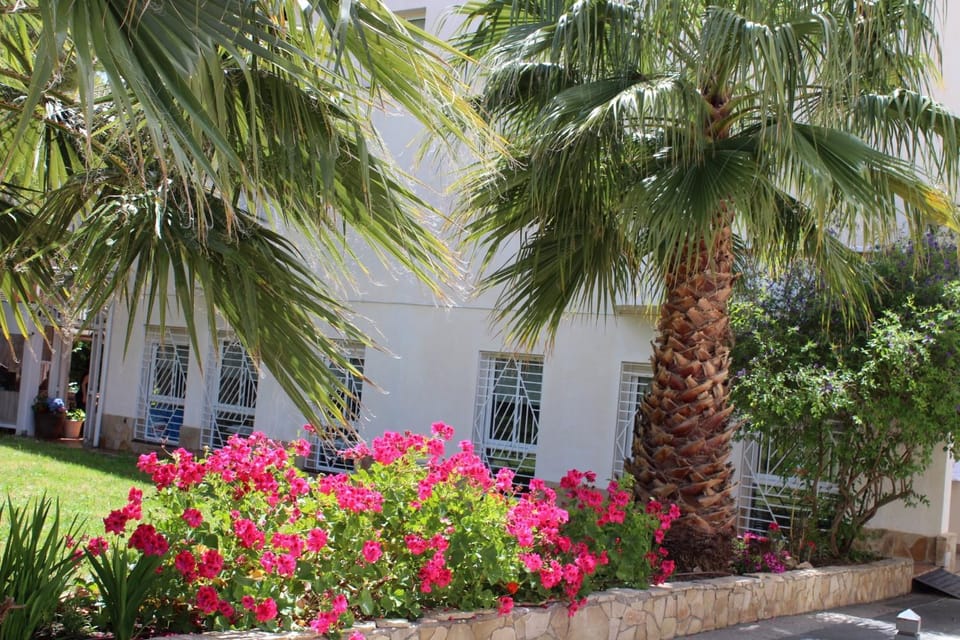 Property building, Facade/entrance, Garden