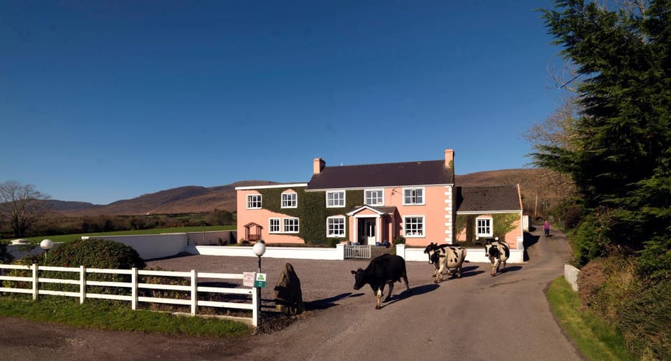 Facade/entrance, Animals