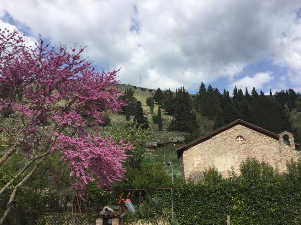 La Fonte Farm Stay in Basilicata