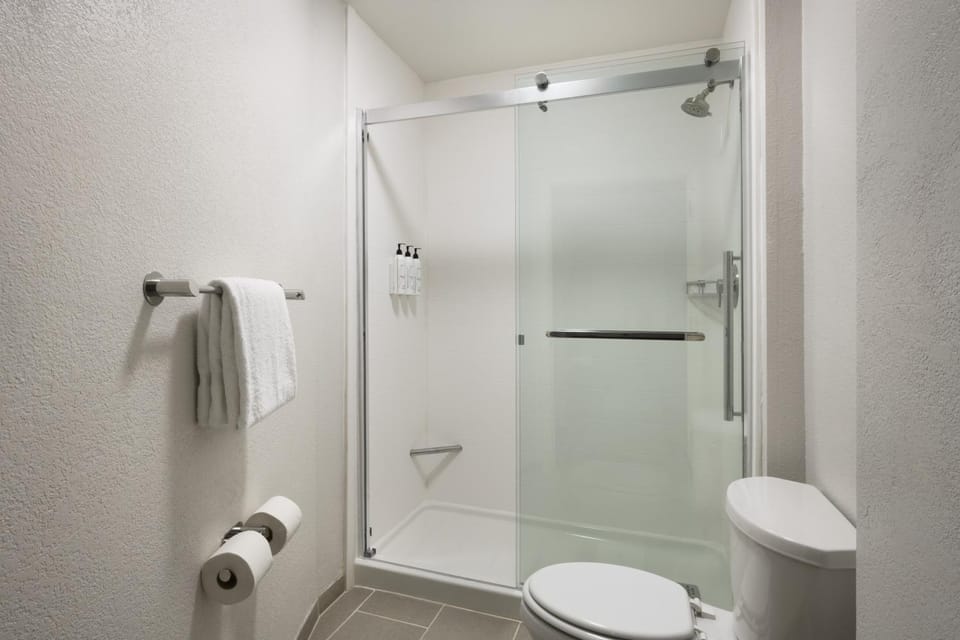 Shower, Toilet, Bathroom, towels, acessibility