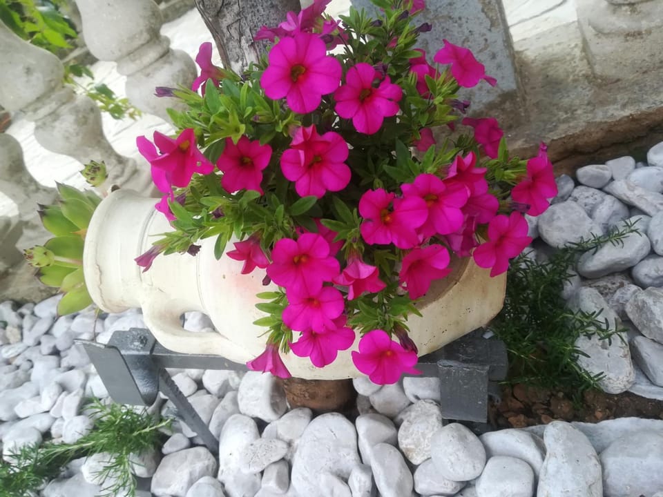 Apartman Pelcic,with WiFi and free parking Apartment in Primorje-Gorski Kotar County