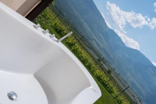 Decorative detail, Mountain view