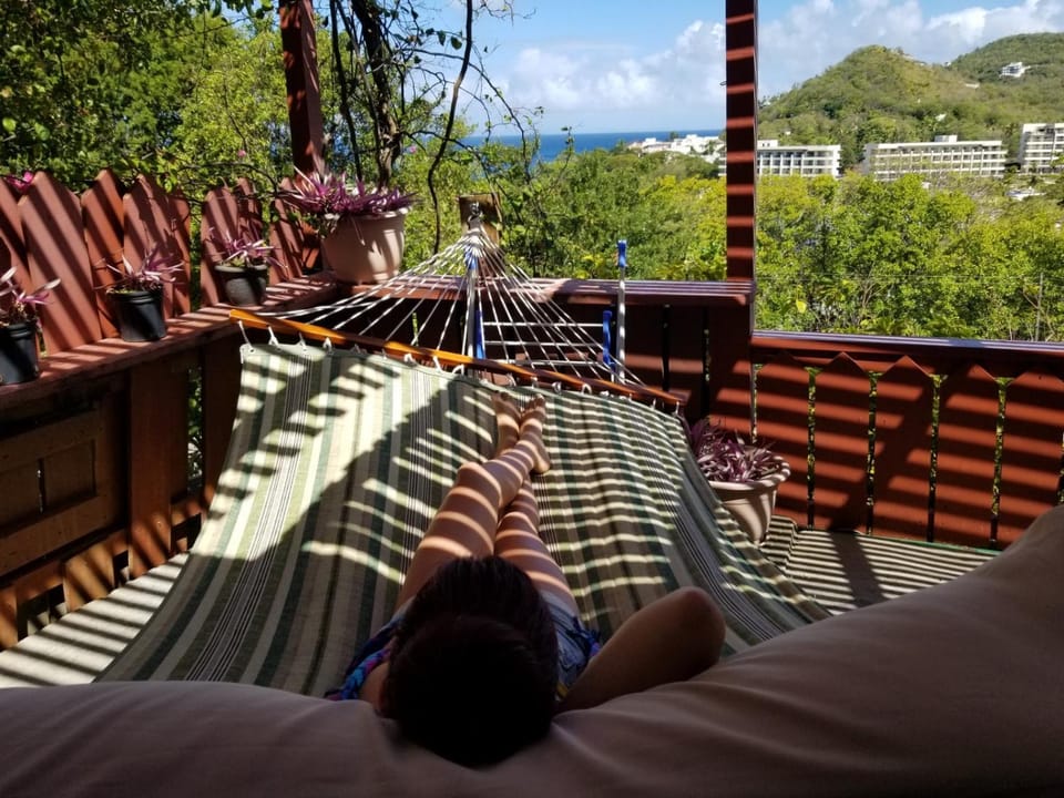 View (from property/room)