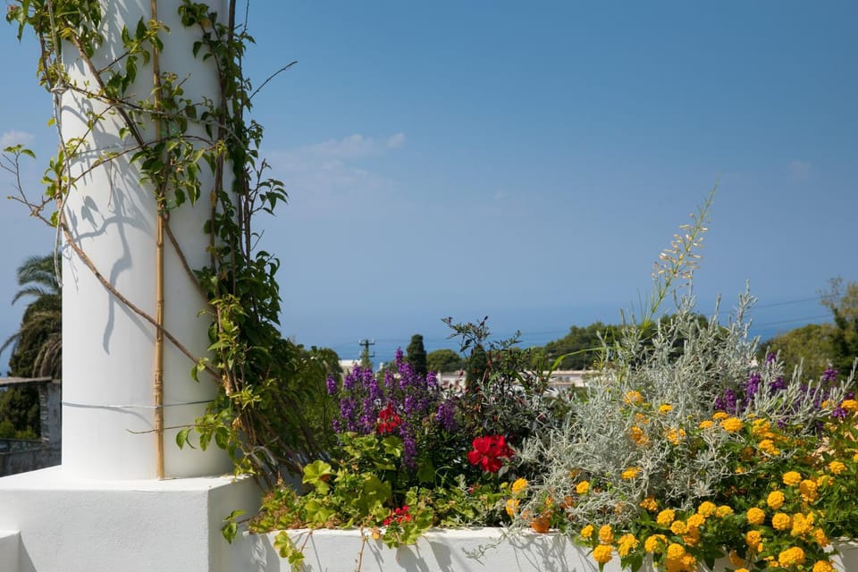 Day, Summer, Garden, Hot Tub, Balcony/Terrace, Open Air Bath