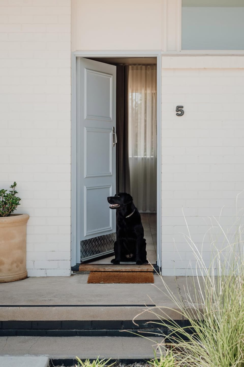 Pets, pet friendly, pet friendly