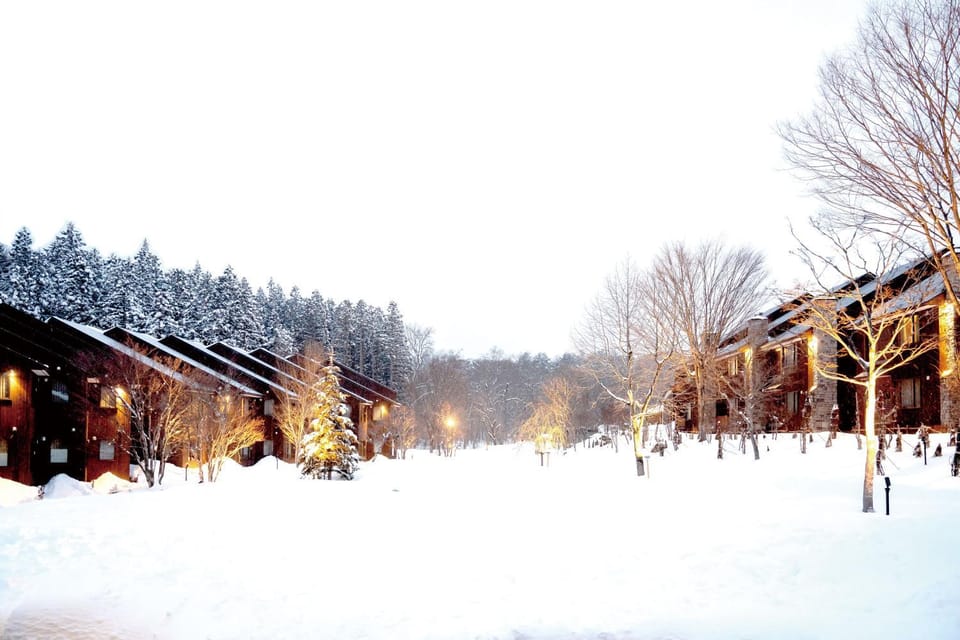 Day, Natural landscape, Winter